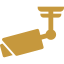 sorveglianza